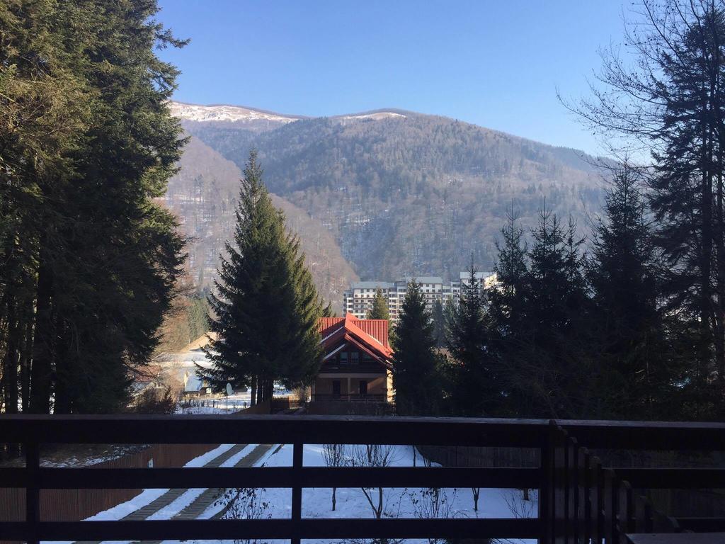 Villa Mara Sinaia Exterior foto