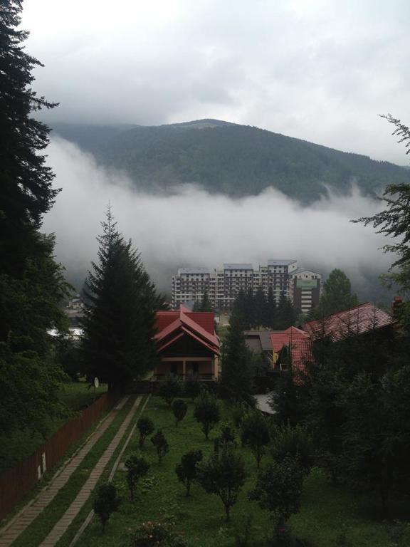 Villa Mara Sinaia Exterior foto
